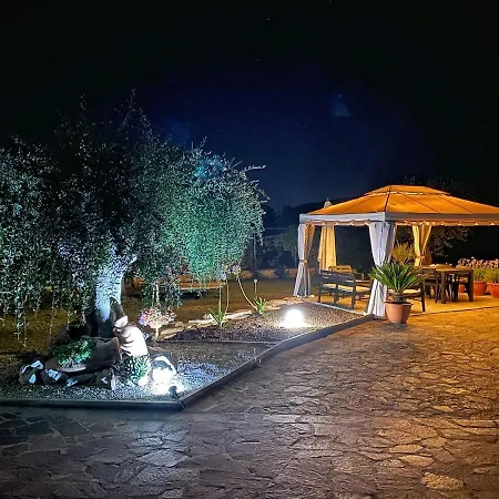 L'ulivo Holiday Corner Holiday home *